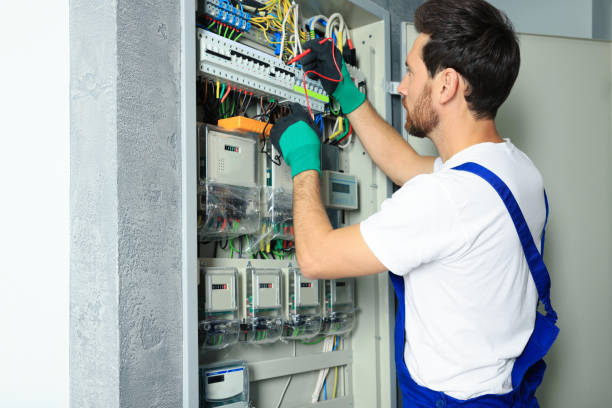 Best Electrical System Inspection  in Springfield, SD